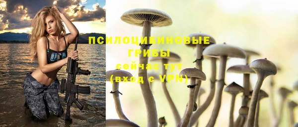 винт Беломорск